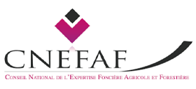 Logo CNEFAS