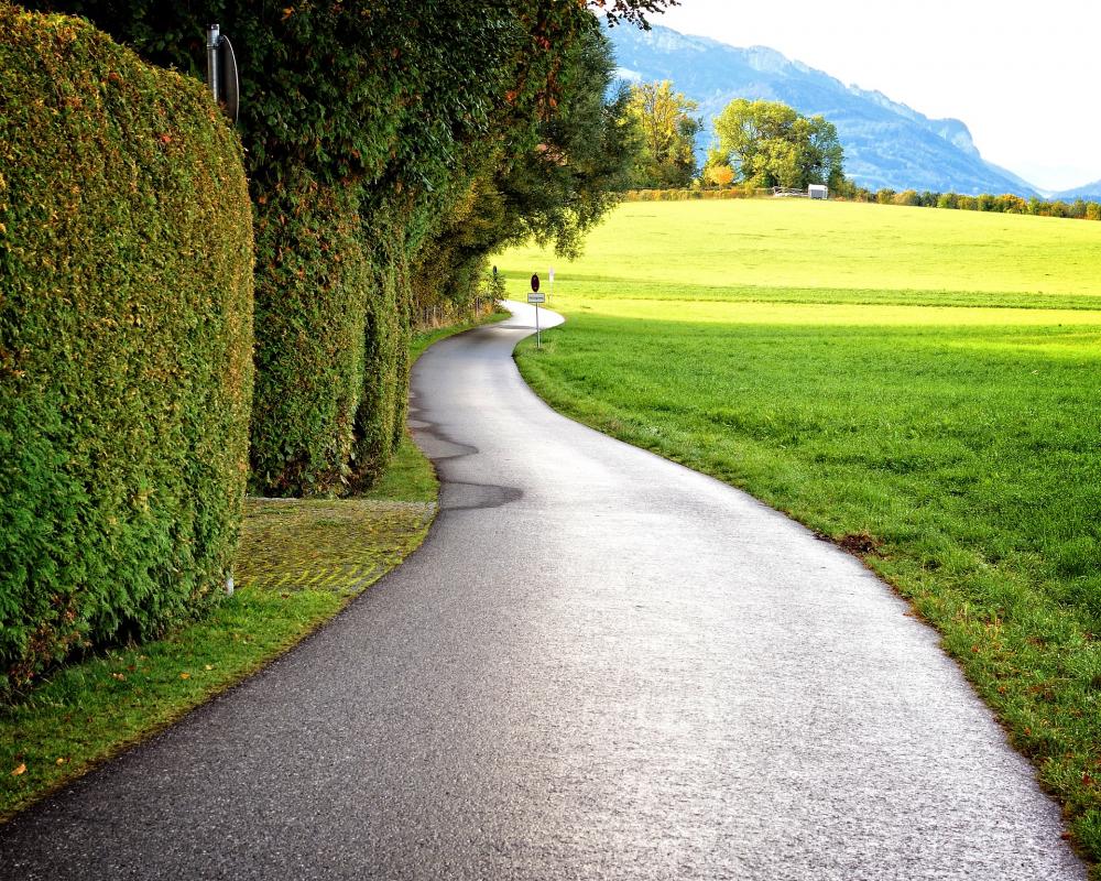 Entretien des espaces verts et plantation de haies 